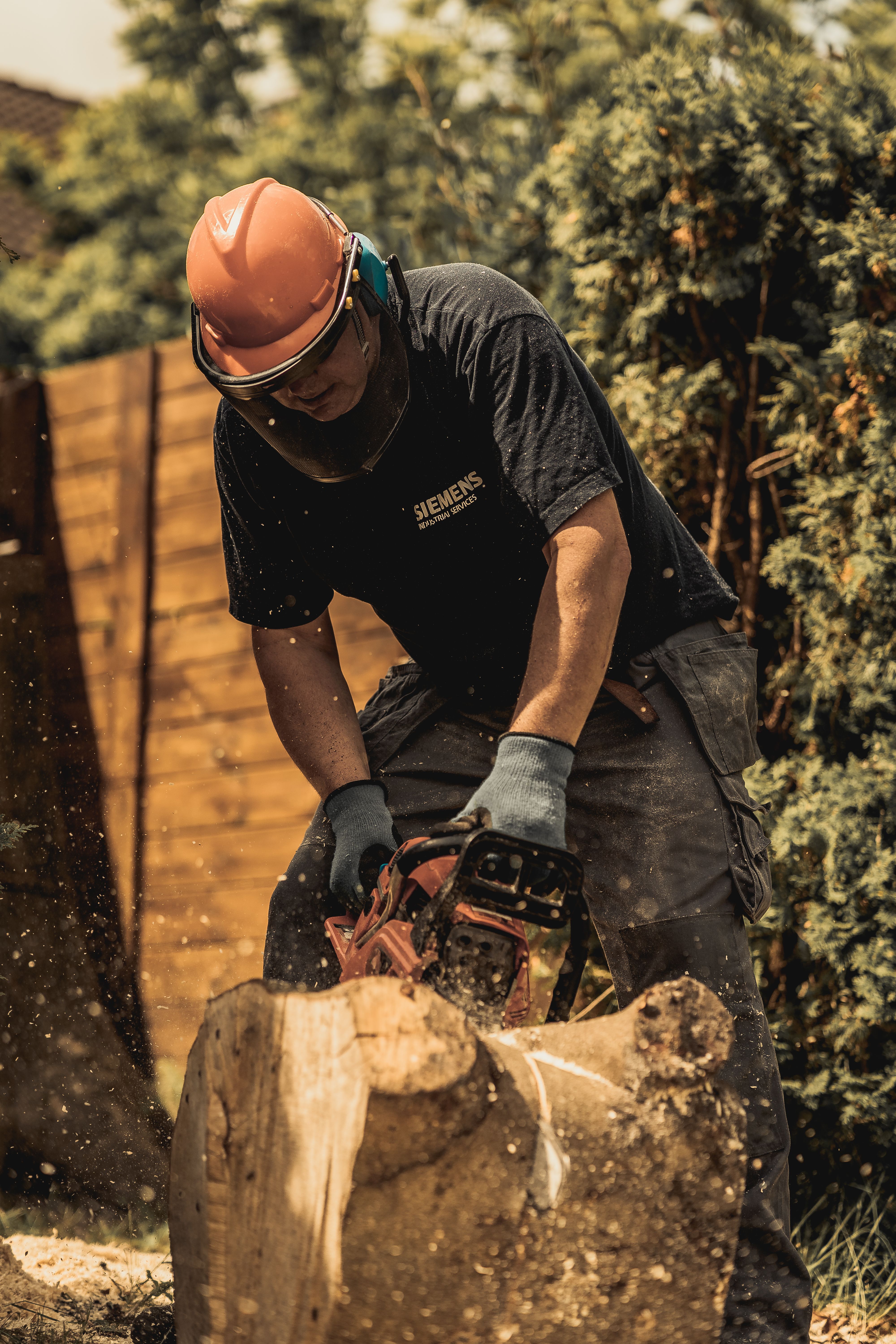 Tree and stump work in Pensacola