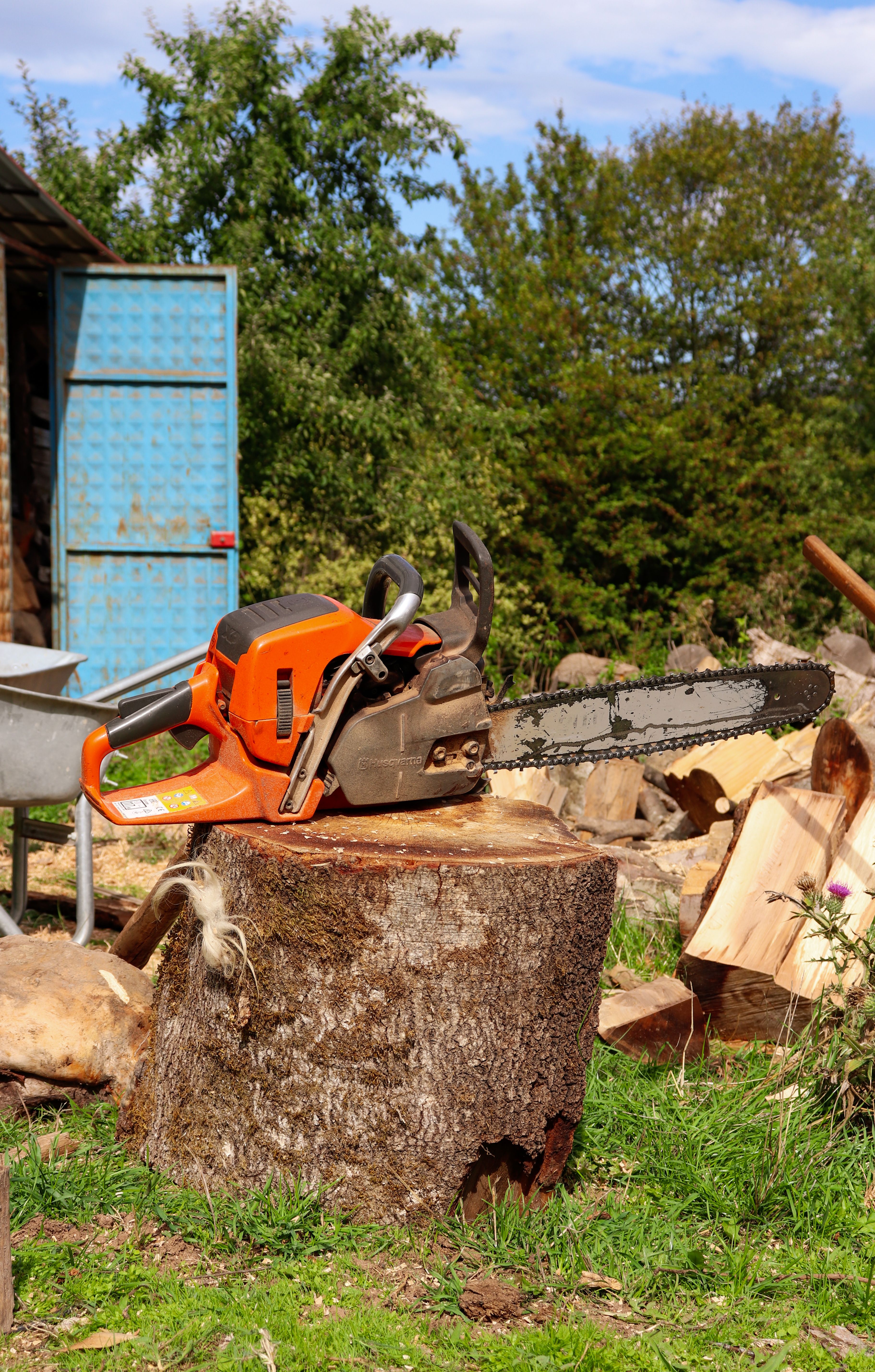 Tree and stump work in Pensacola