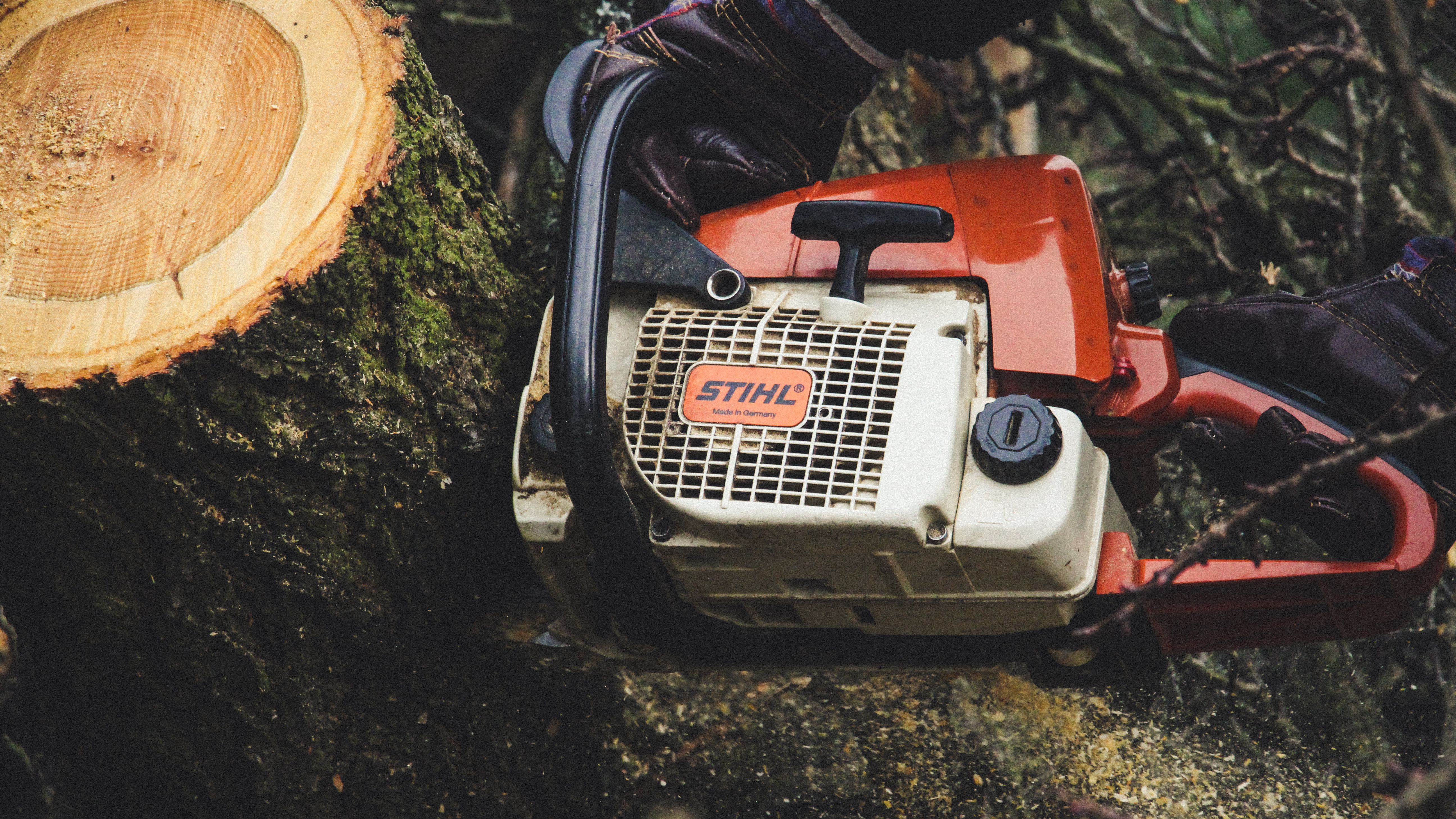 Tree and stump work in Pensacola